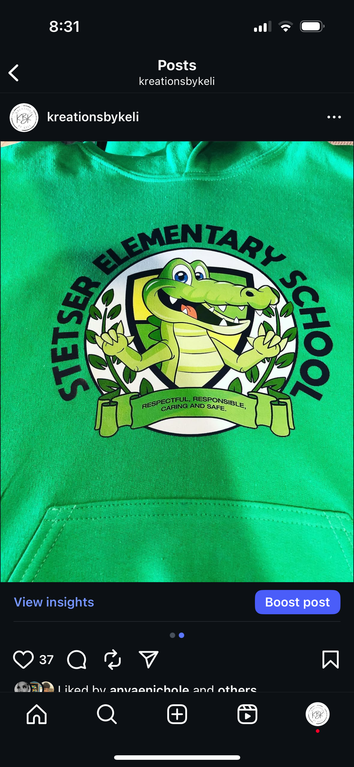 Stetser Hoodies